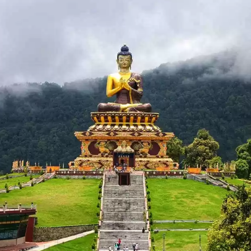 Untitled design - 2026-01-20T142322.515